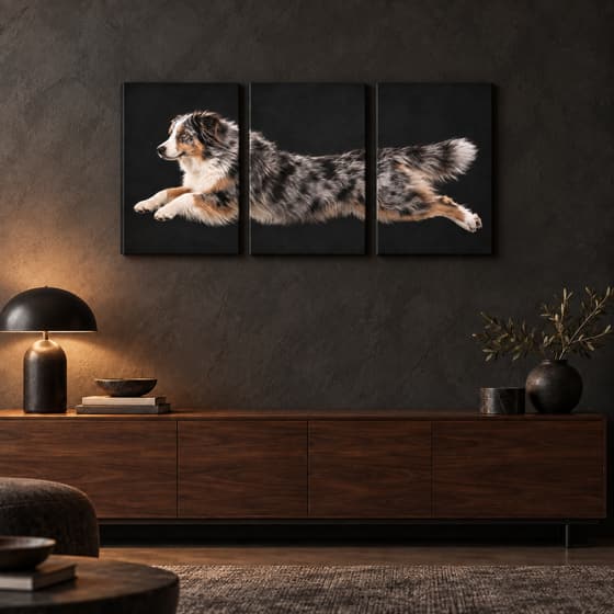 The Leap premium three-panel matte canvas set displayed in a real room